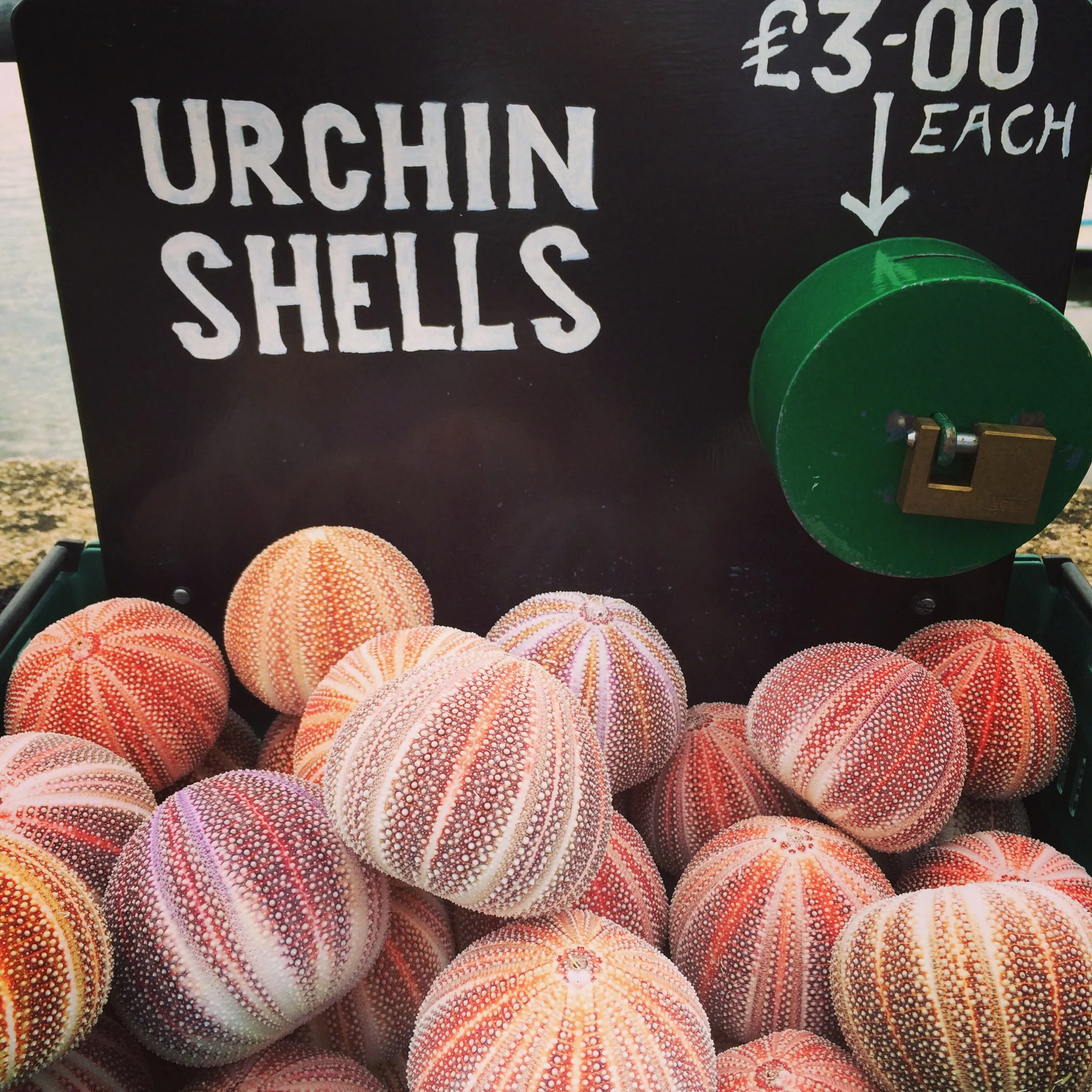 14643411241_0417a3d574_o