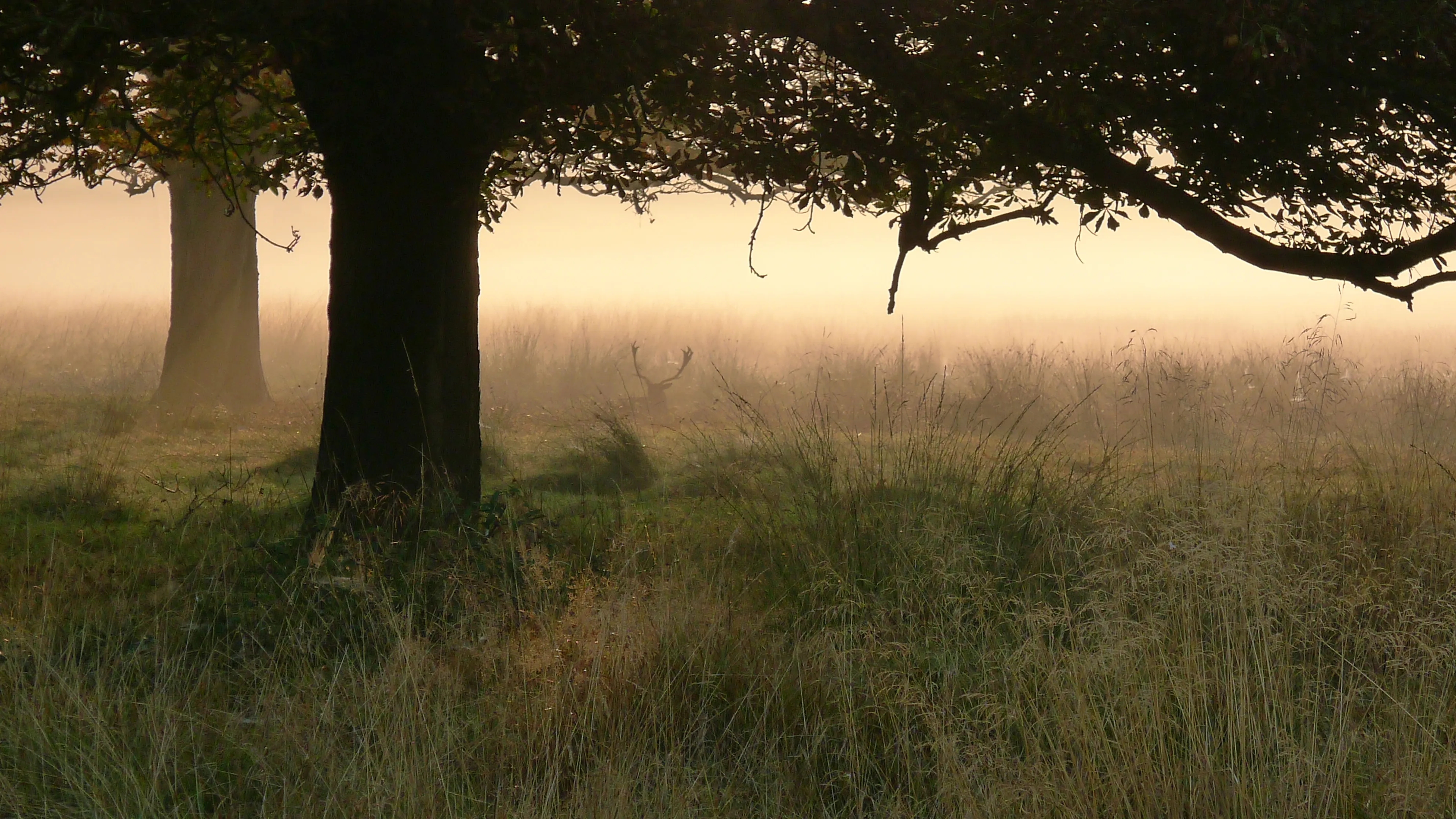 15154527659_790ea33471_o