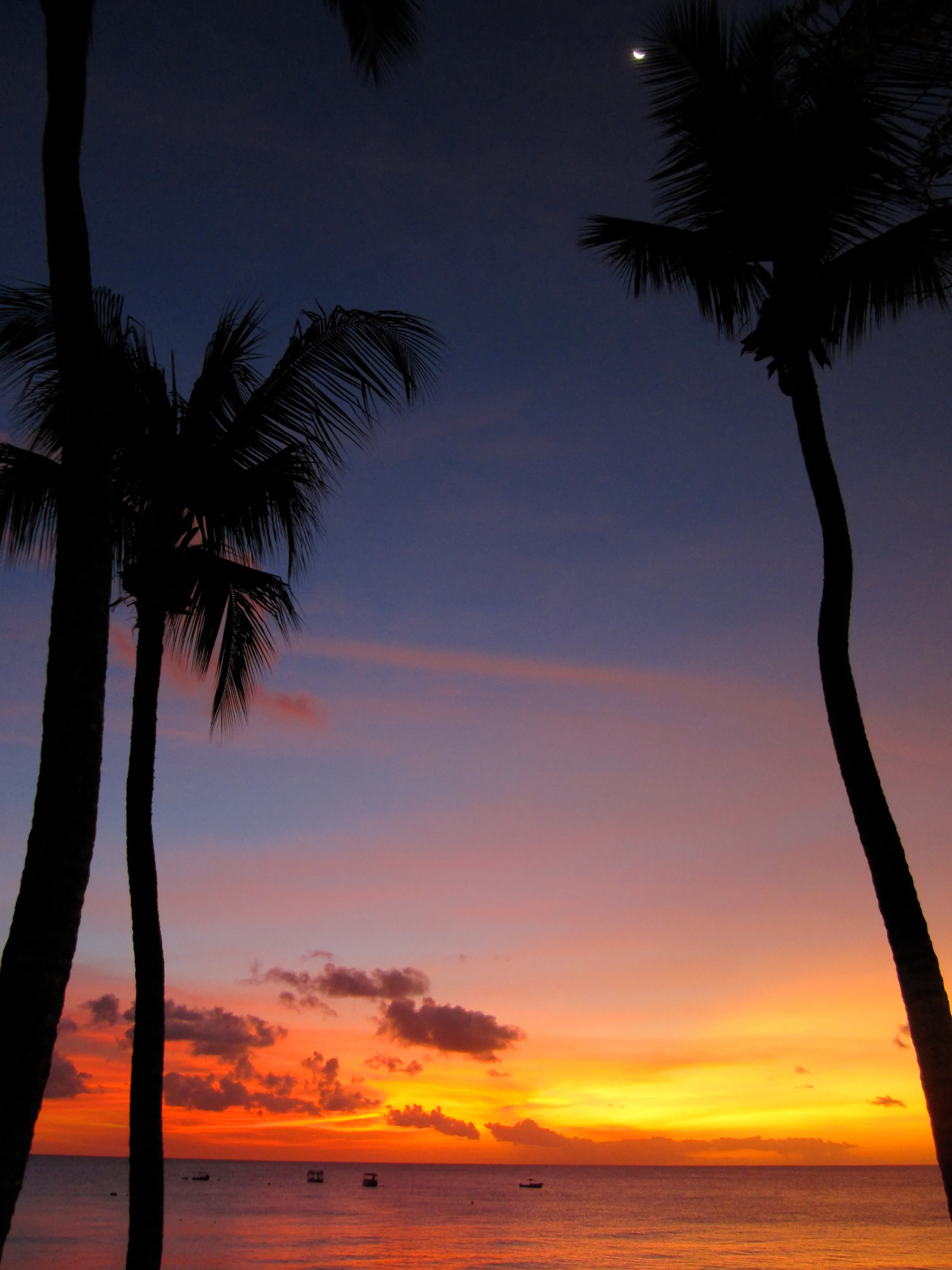 img_0151_4440720055_o.webp