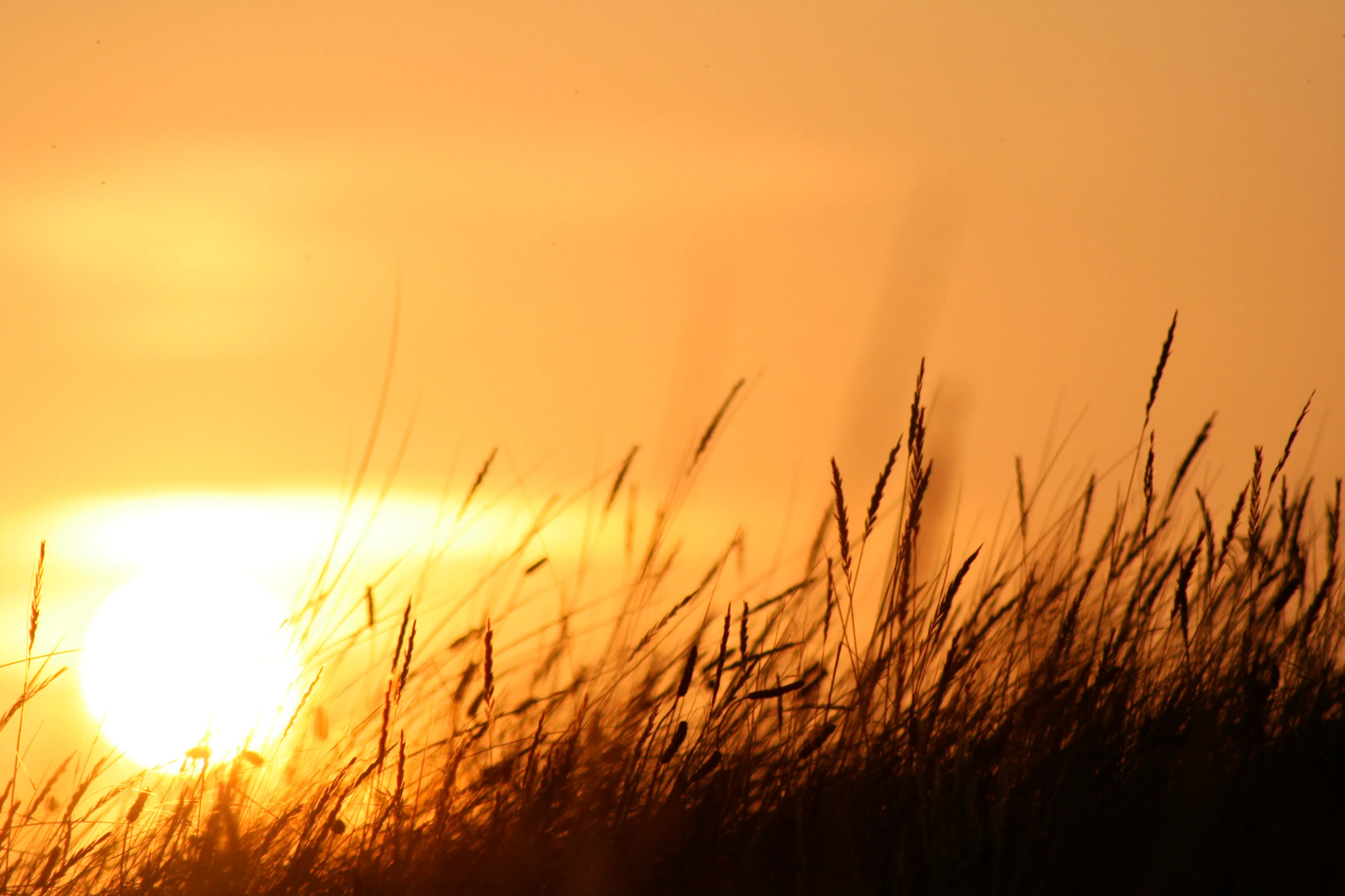 img_0327_3366470978_o.webp