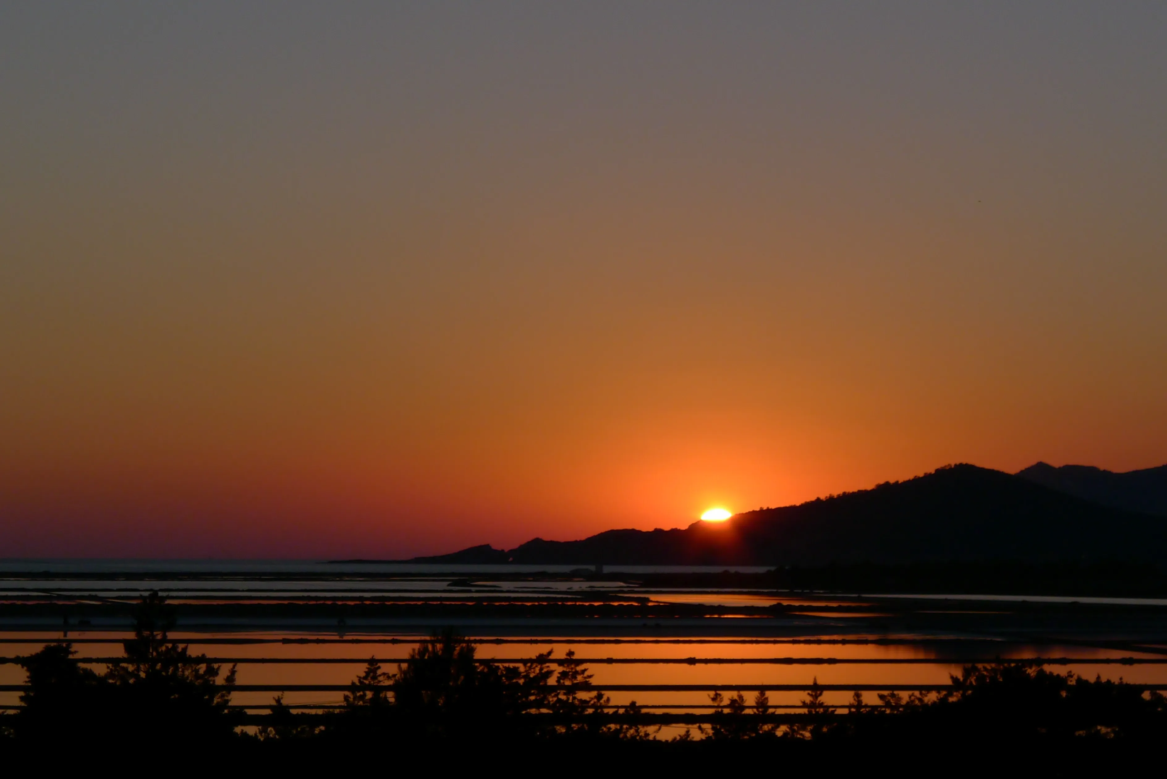 p1010166_5054986983_o.webp