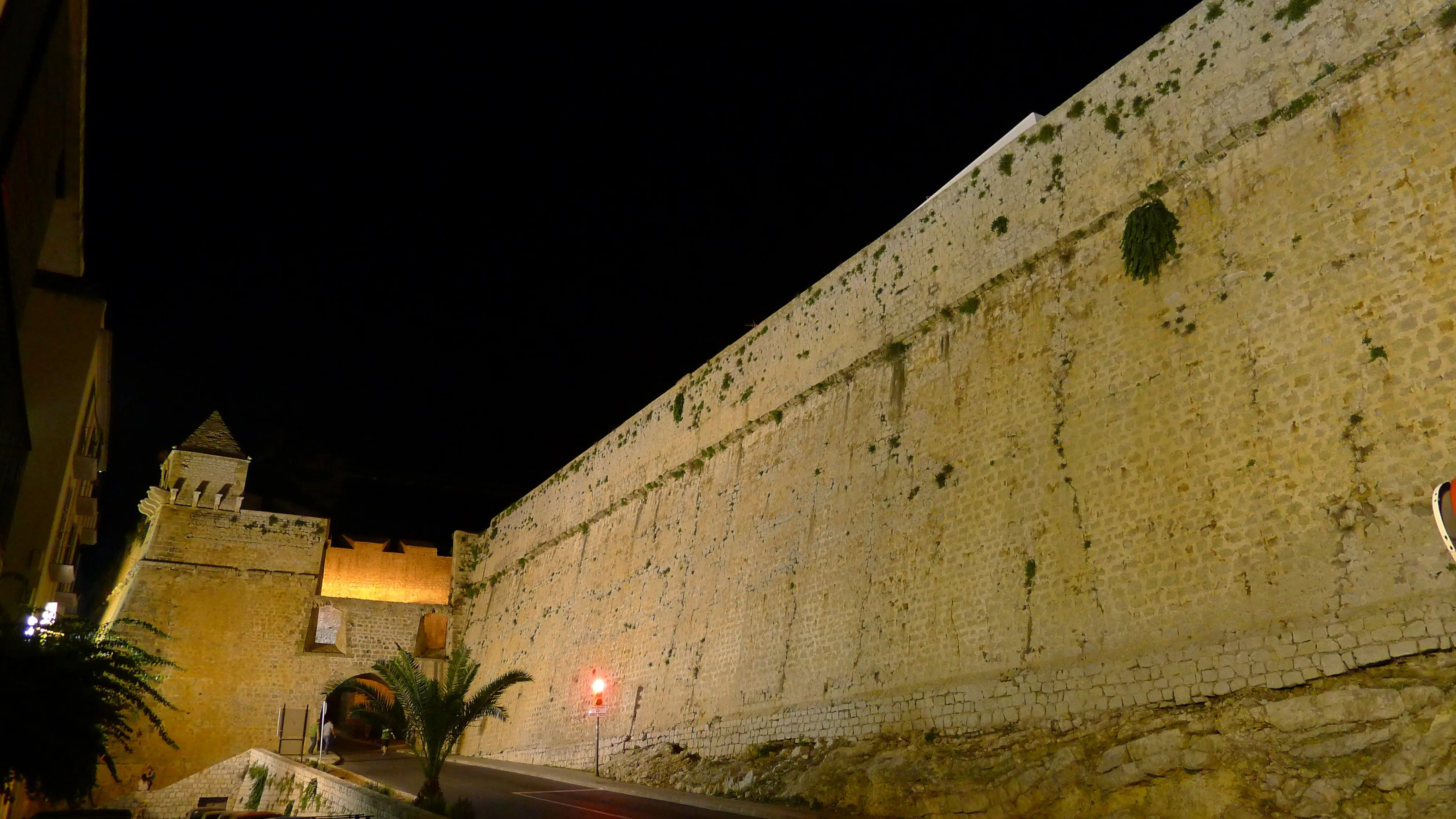 p1010209_5055611832_o